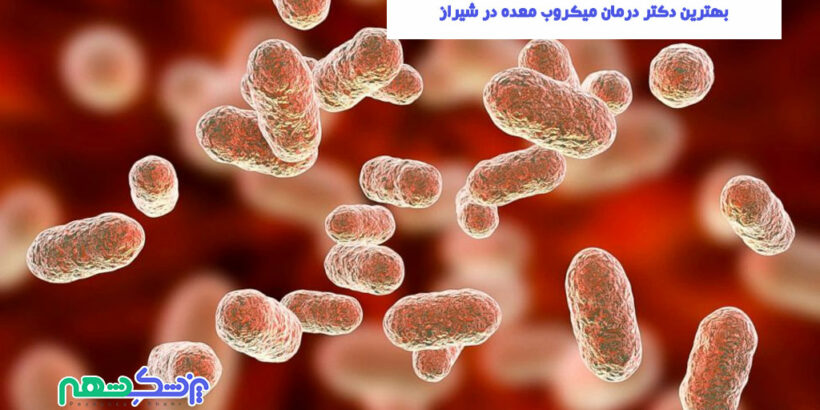 درمان میکروب معده در شیراز