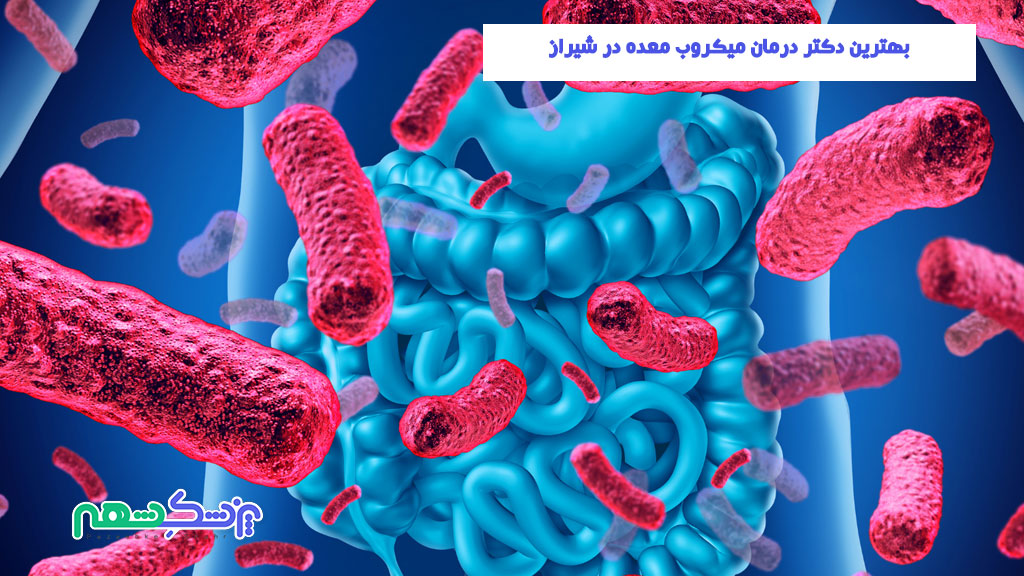 بهترین دکتر درمان میکروب معده در شیراز