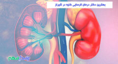 دکتر درمان نارسایی کلیه در شیراز