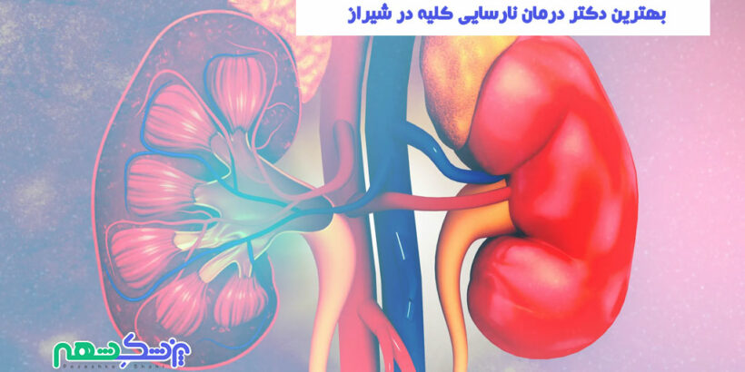 دکتر درمان نارسایی کلیه در شیراز