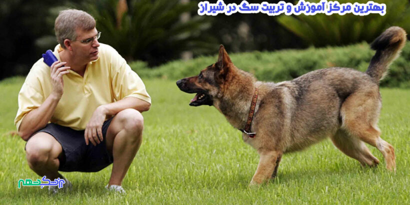 آموزش و تربیت سگ در شیراز