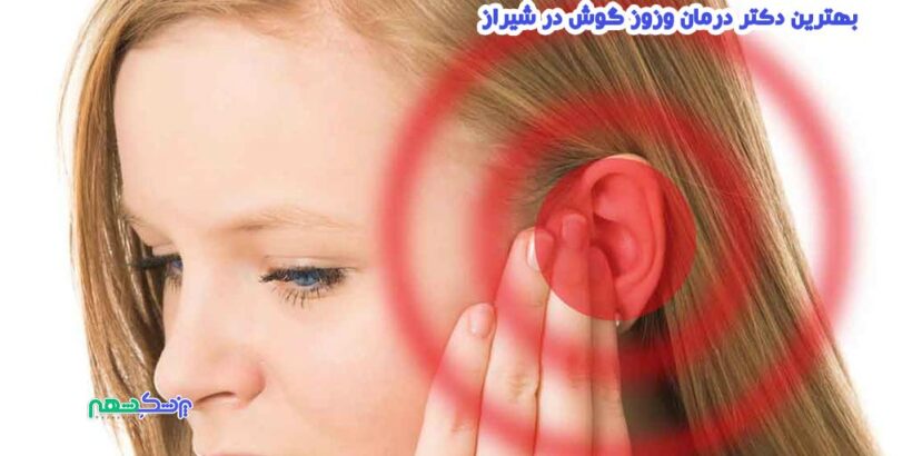بهترین دکتر درمان وزوز گوش در شیراز