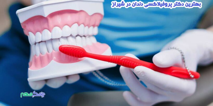 بهترین دکتر پروفیلاکسی دندان در شیراز