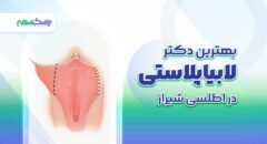 بهترین دکتر لابیاپلاستی در اطلسی شیراز