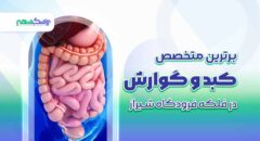 برترین متخصص کبد و گوارش در فلکه فرودگاه شیراز