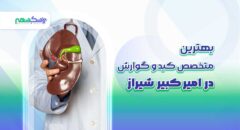 بهترین متخصص کبد و گوارش در امیرکبیر شیراز