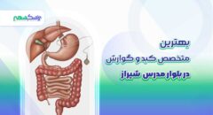بهترین متخصص کبد و گوارش در بلوار مدرس شیراز