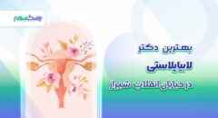 بهترین دکتر لابیاپلاستی در خیابان انقلاب شیراز