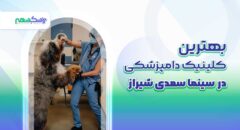 بهترین کلینیک دامپزشکی در سینما سعدی شیراز
