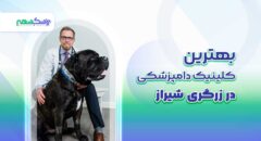 بهترین کلینیک دامپزشکی در زرگری شیراز
