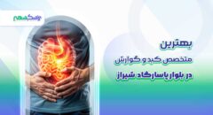 بهترین متخصص کبد و گوارش در بلوار پاسارگاد شیراز