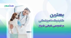 بهترین کلینیک دامپزشکی در بلوار بعثت شیراز