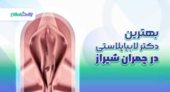 بهترین دکتر لابیاپلاستی در چمران شیراز