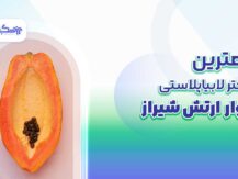 بهترین دکتر لابیاپلاستی در بلوار ارتش شیراز