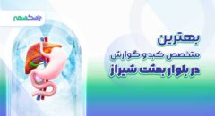 بهترین متخصص کبد و گوارش در بلوار بعثت شیراز