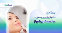 بهترین دکتر تزریق چربی به صورت در امیرکبیر شیراز