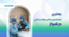 بهترین مرکز شیمی درمانی حیوانات خانگی در شیراز